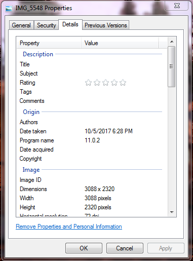 view image dimensions on a Windows machine